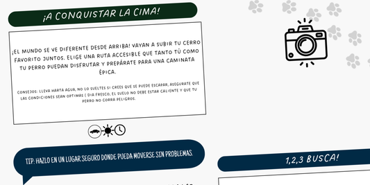 Dejando Huellas: Actividades para Hacer con mi Perro y Vivir Aventuras Inolvidables