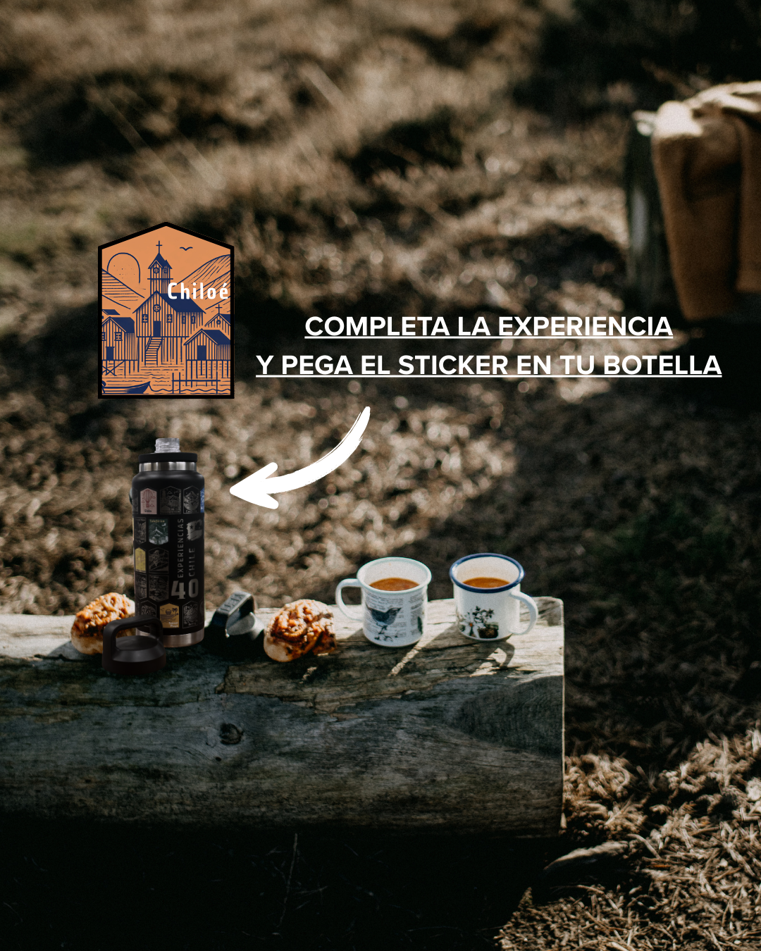 Botella: 40 Experiencias Chile