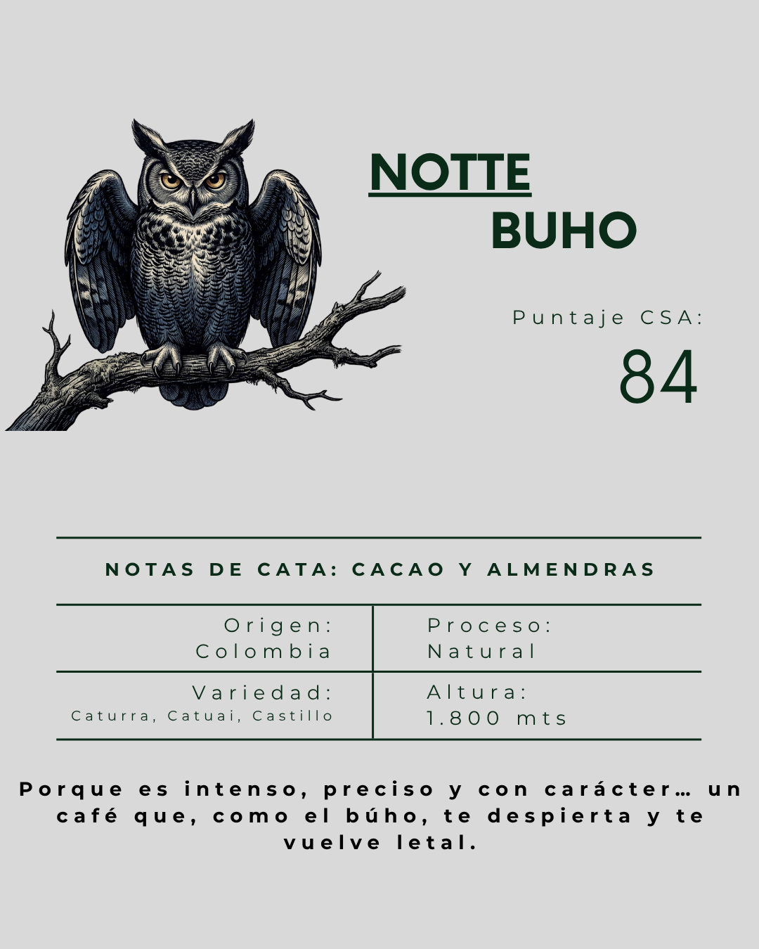 Pack "Petal" con Notte, Lignum y Terranova + Drips