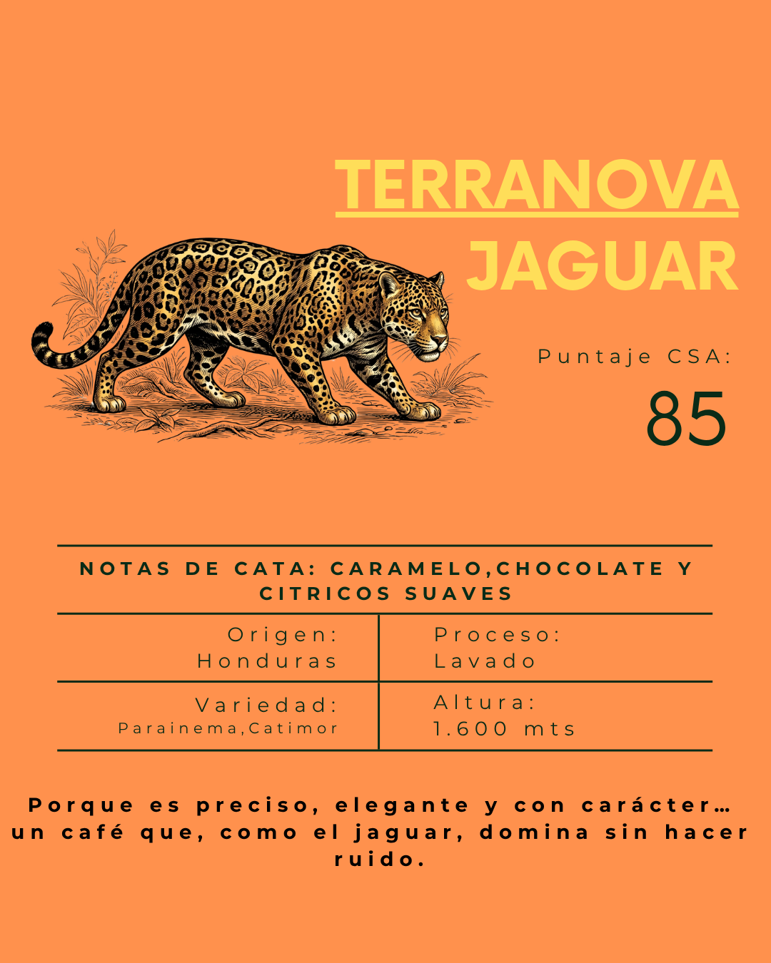 Terranova de Honduras