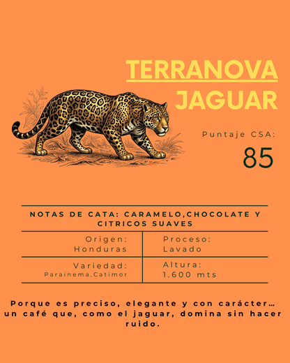 Terranova de Honduras