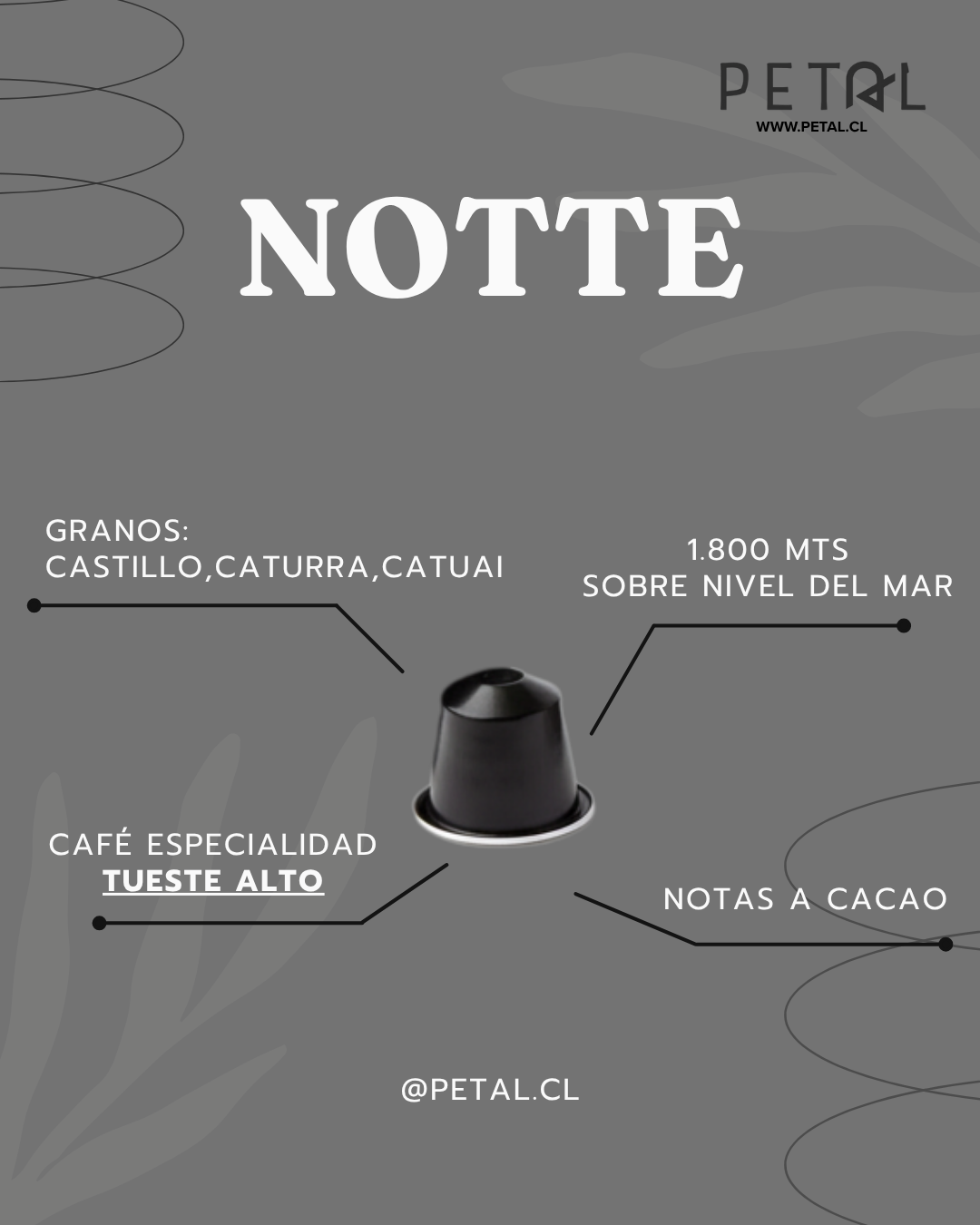 Pack 100 Capsulas Petal - Compatibles Nespresso