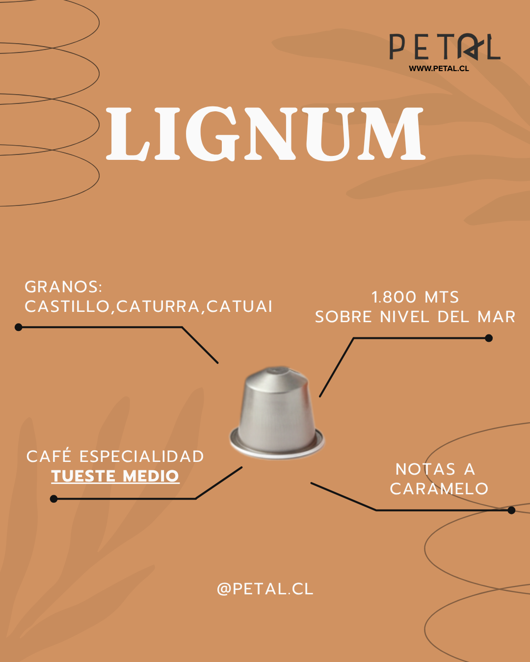 Pack 100 Capsulas Petal - Compatibles Nespresso