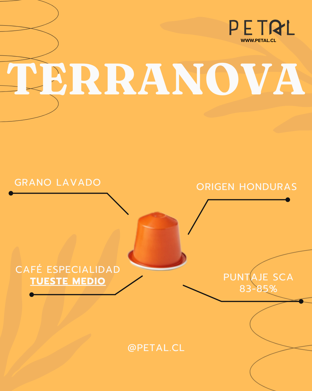 Pack 100 Capsulas Petal - Compatibles Nespresso