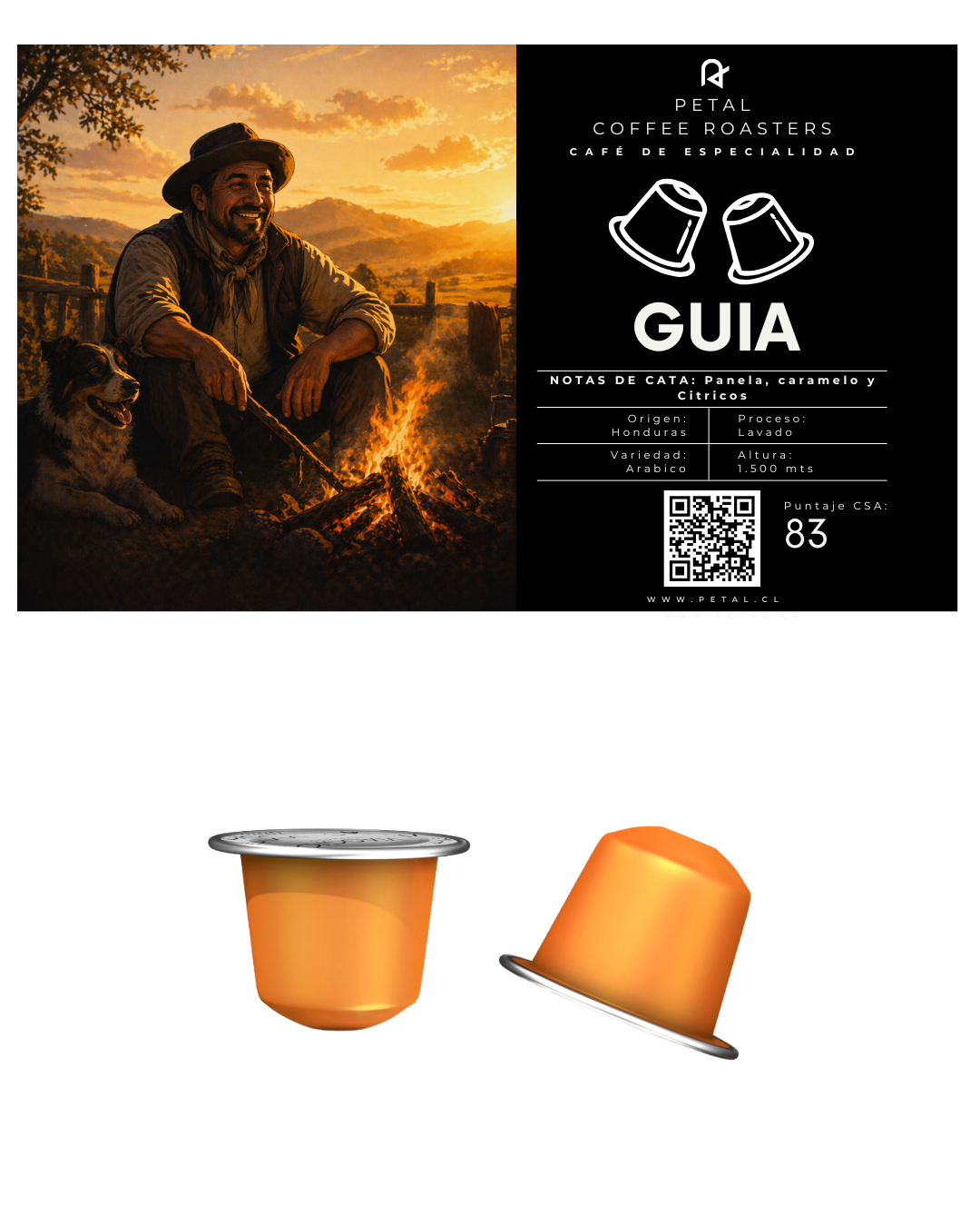 Guia de Honduras - Capsulas