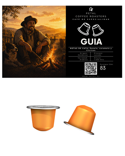 Guia de Honduras - Capsulas