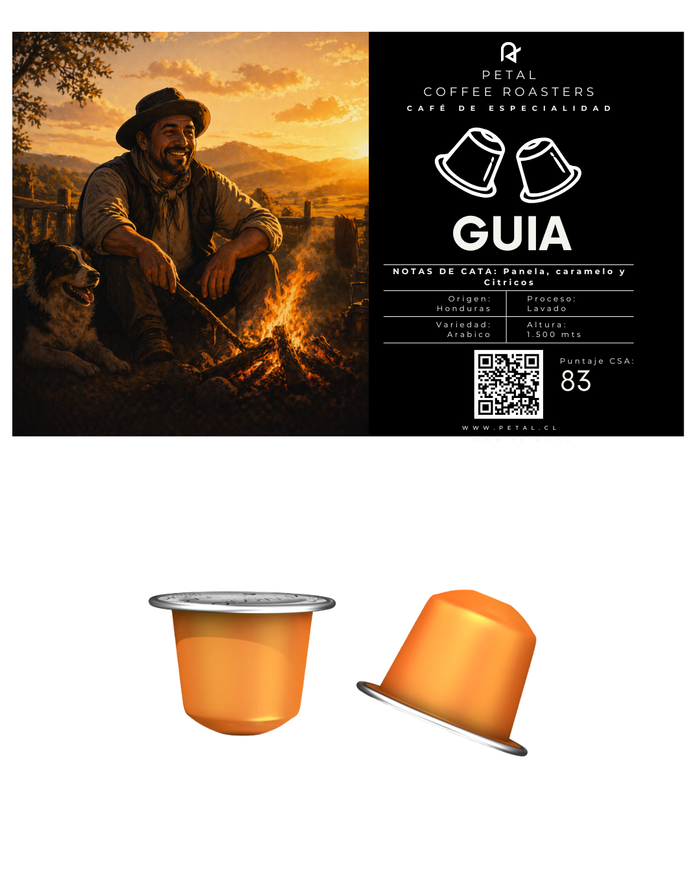 Guia de Honduras - Capsulas