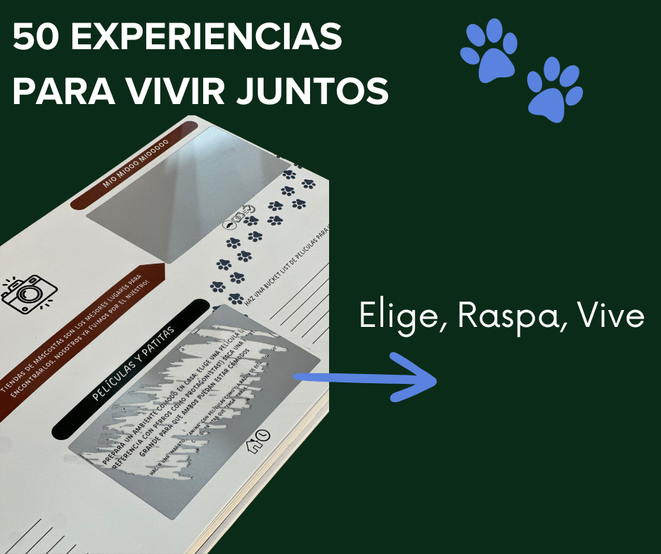 Dejando Huellas: 50 actividades con tu perro