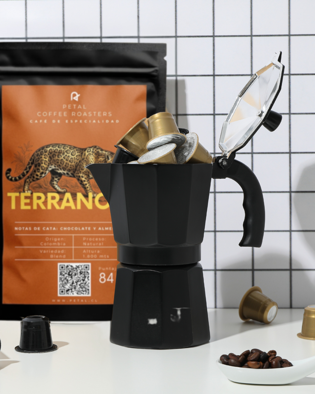 Terranova de Honduras