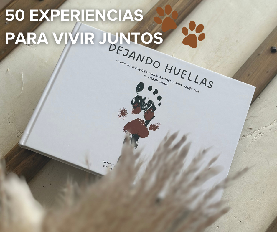 Dejando Huellas: 50 actividades con tu perro
