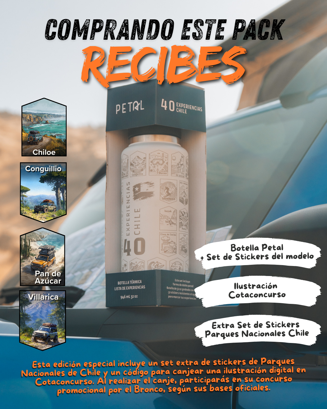 Botellas Petal x CotaConcurso — Edición Especial