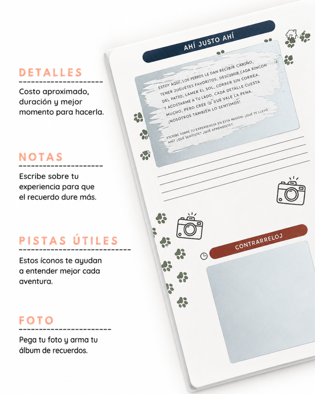 Dejando Huellas: 50 actividades con tu perro