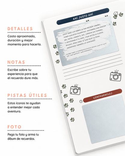 Dejando Huellas: 50 actividades con tu perro