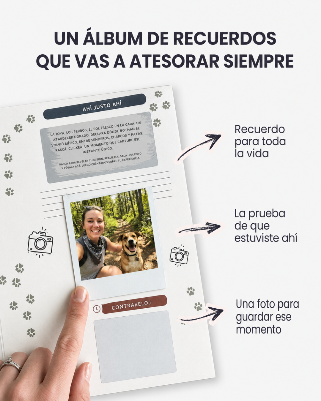 Dejando Huellas: 50 actividades con tu perro