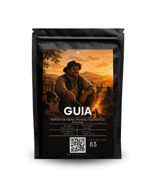 Guia de Honduras